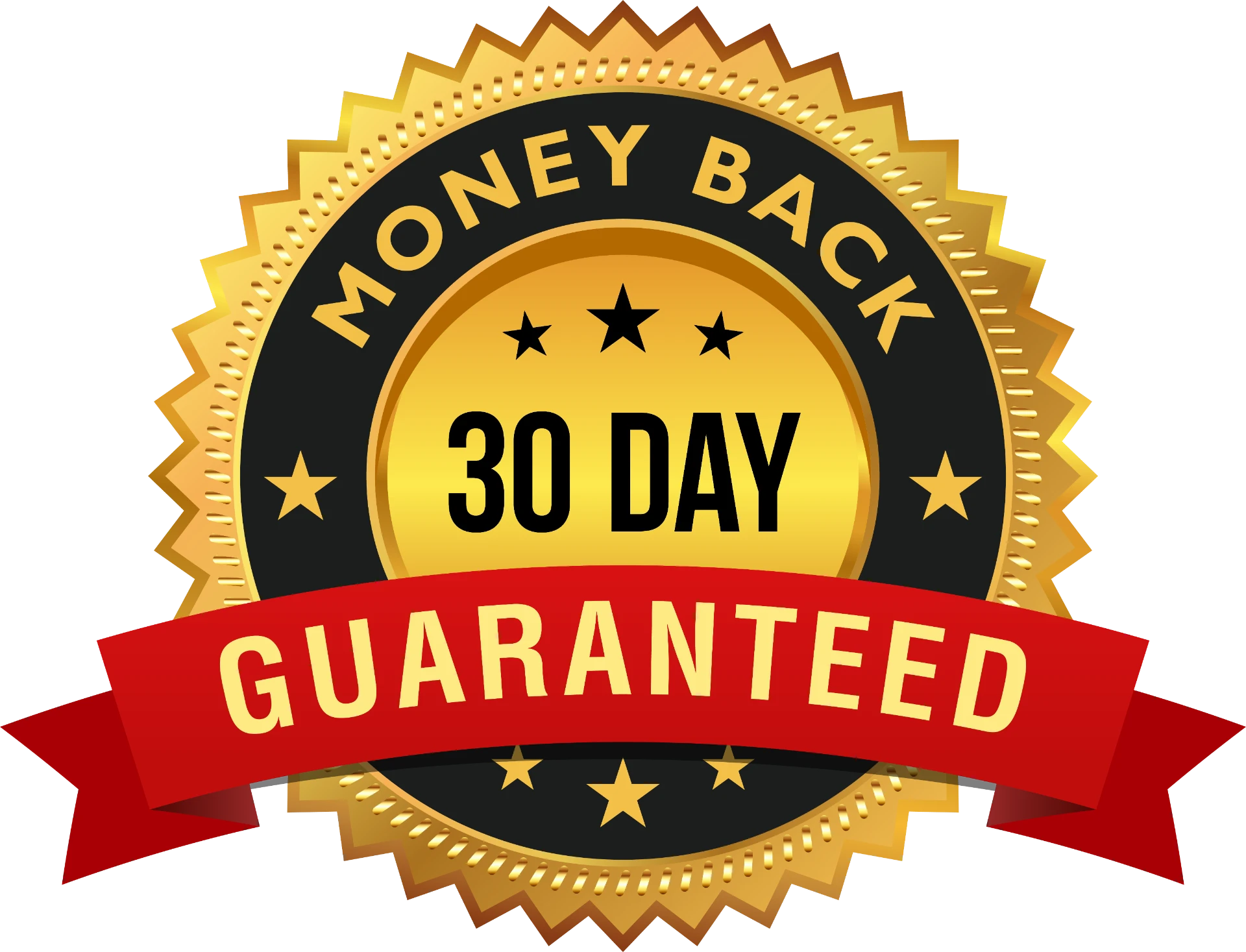 Six month one hundred percent money back guarantee seal